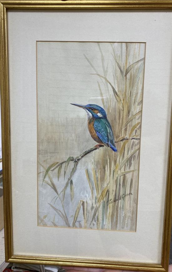 Roland Green (1896-1972), watercolour, Kingfisher on a riverbank, signed, 32 x 18cm